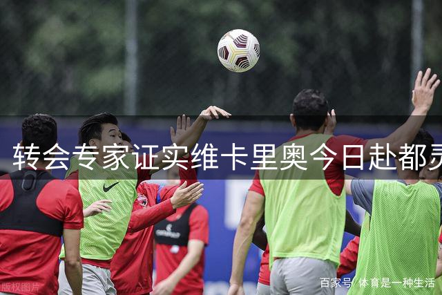 转会专家证实维卡里奥今日赴都灵体检 即将加盟尤文